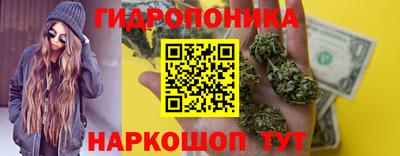 гидропоника Лесосибирск