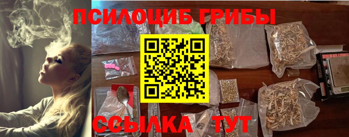 Псилоцибиновые грибы Psilocybe Шебекино